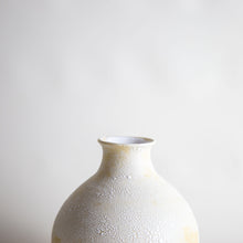 Load image into Gallery viewer, VASE 5
