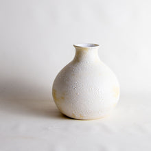 Load image into Gallery viewer, VASE 5
