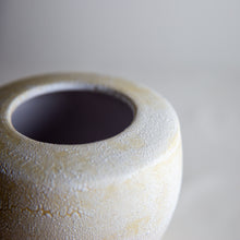 Load image into Gallery viewer, VASE 3
