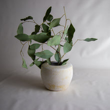 Load image into Gallery viewer, VASE 3
